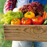 home_wallet_iconbox6